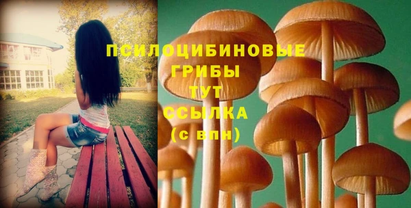 MDMA Аркадак